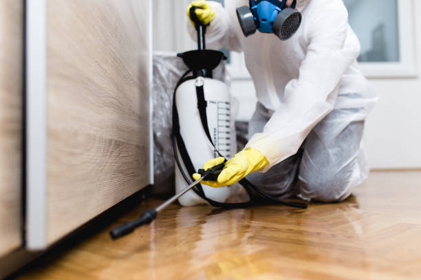 Best Pest Removal Services  in Kankakee, IL