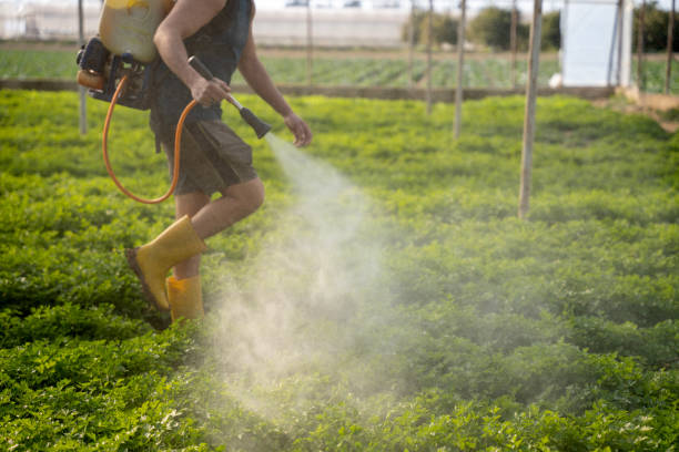 Best Pest Control Cost  in Kankakee, IL
