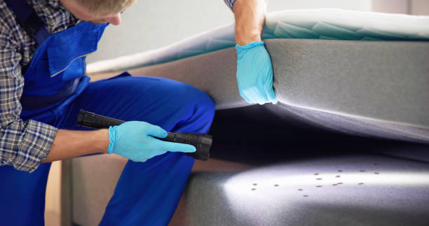 Best Bed Bug Extermination  in Kankakee, IL