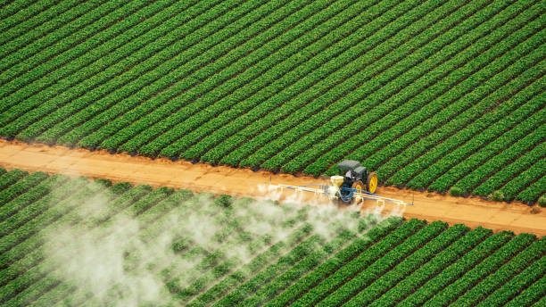 Best Affordable Exterminators  in Kankakee, IL