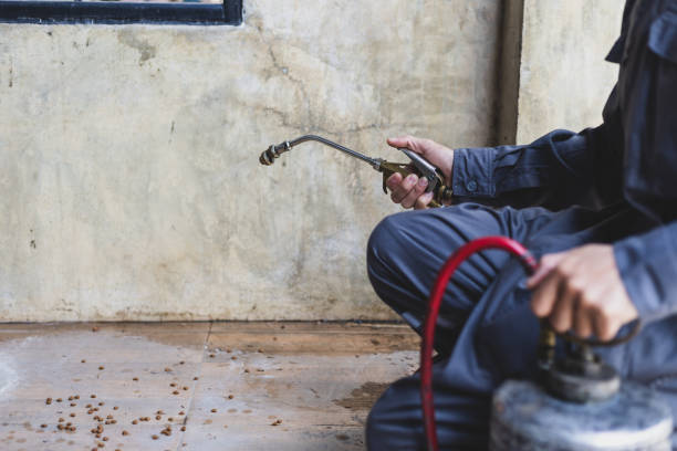 Best Local Pest Control Services  in Kankakee, IL